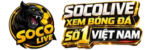 logo socolive 2 pro panther